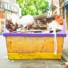 Builders skip full of renovation waste, showing what size skip a project needs