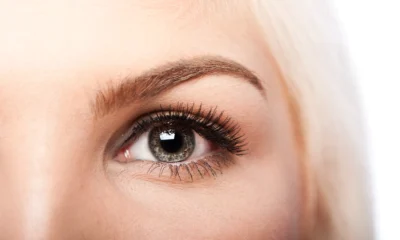 Close-up of a woman's eye and natural-looking eyebrow
