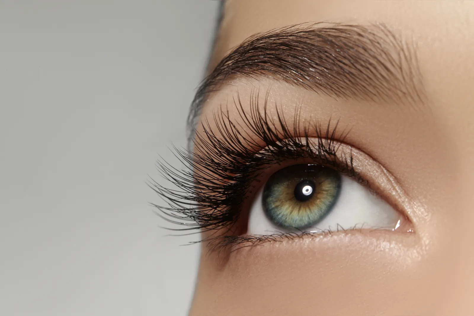 Close-up of a woman's eye, lashes and eyebrow
