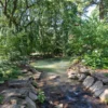 White hydrangeas flowering beside a garden stream