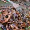 Fallen autumn leaves piled on a lawn beside a metal garden rake